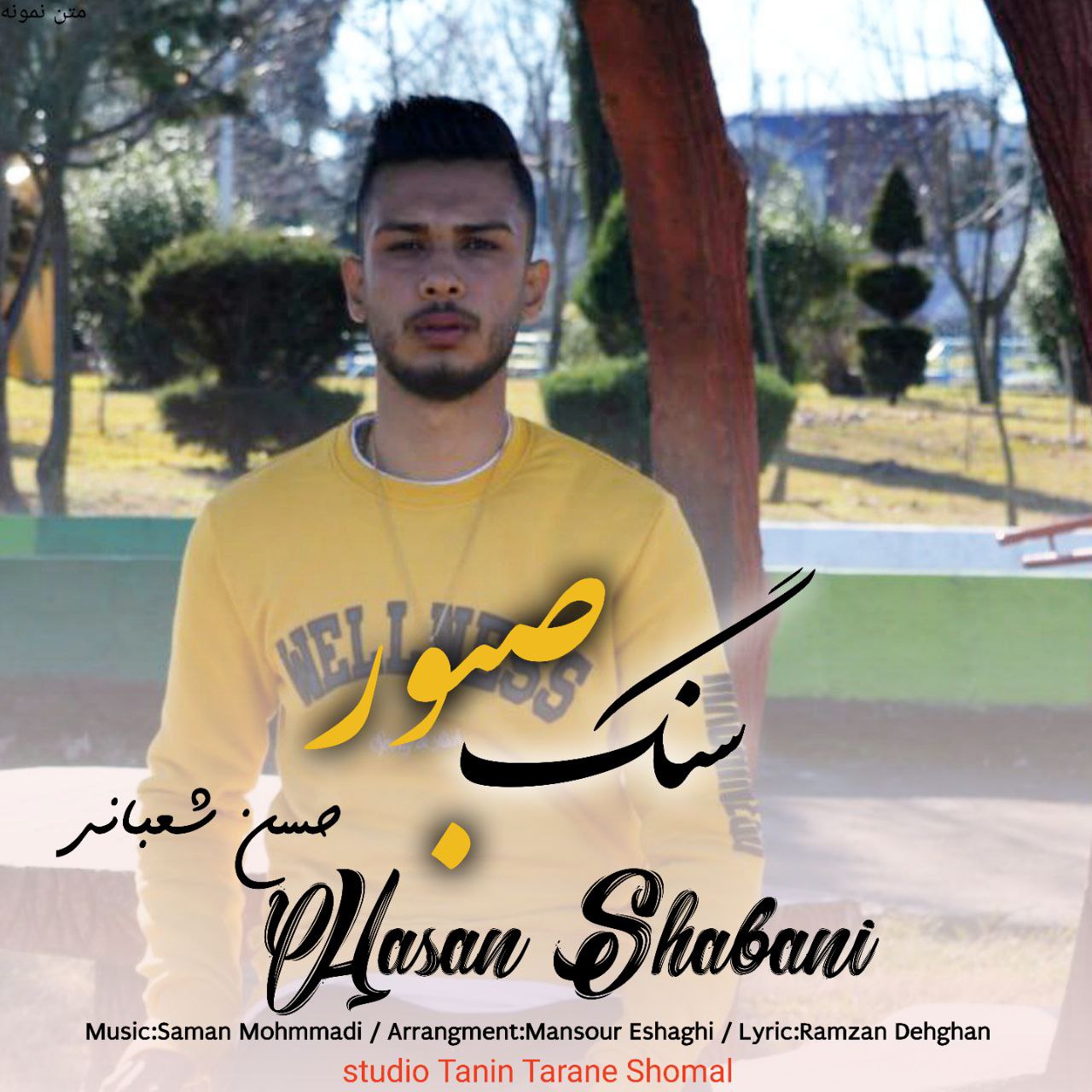 حسن شعبانی سنگ صبور